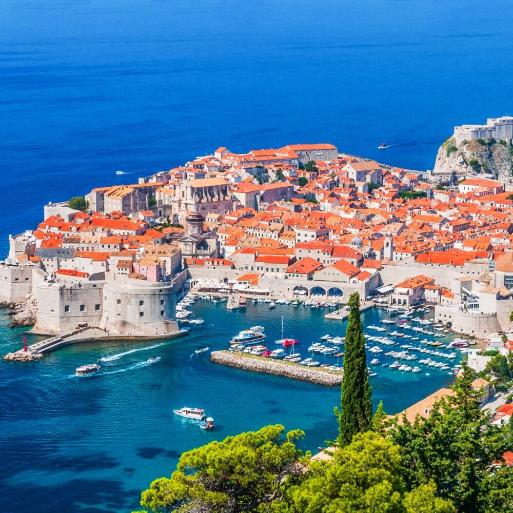 5695b321-d12f-425d-86db-fd6cc68eff36 5695b321-d12f-425d-86db-fd6cc68eff36